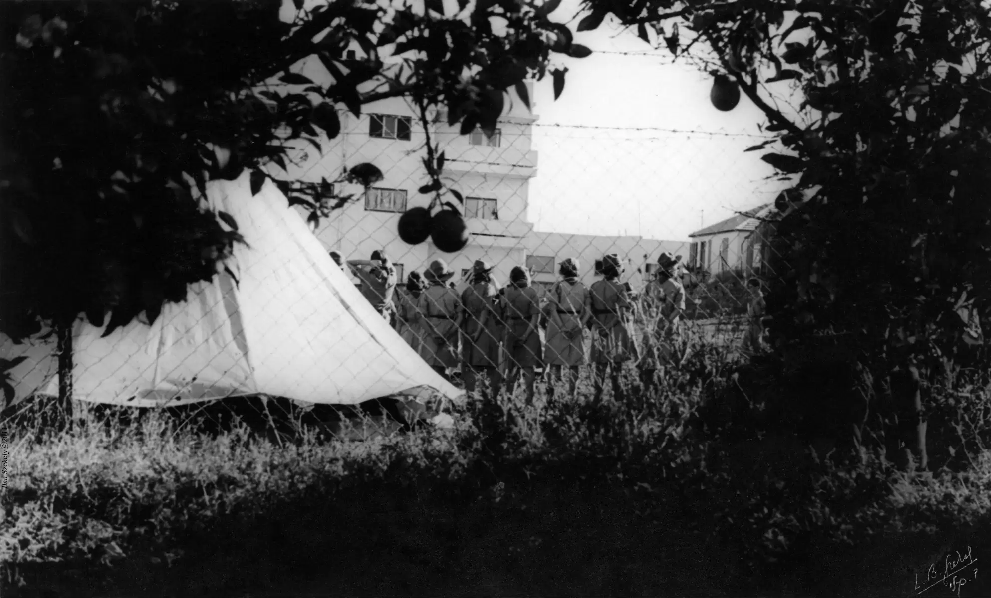 מחנה צופים 1935 - צופות - דוד לסלו סקלי -  - מק''ט: 142074