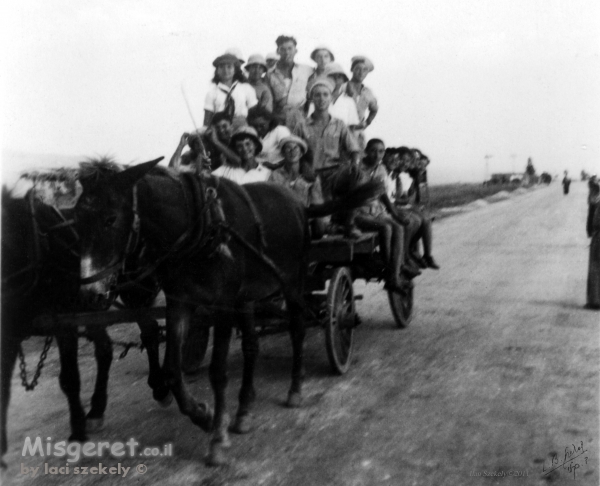 אנשים עגלה וסוסים - 1945