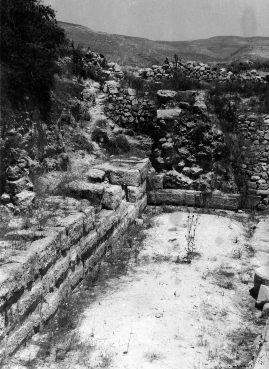 סבסטיה 1943 - חומת הארמון - דוד לסלו סקלי -  - מק''ט: 142145