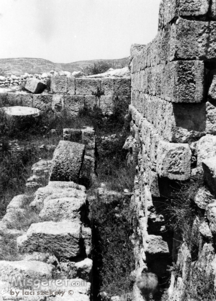 סבסטיה 1943 - עתיקות