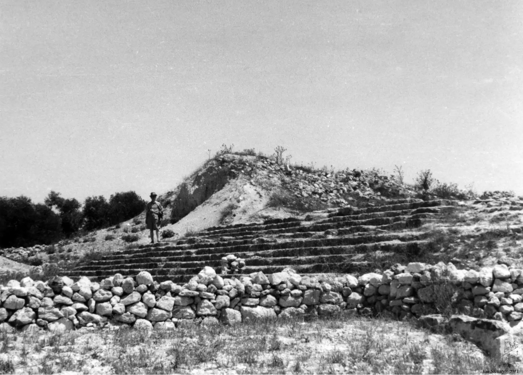 סבסטיה 1943 - חפירות - דוד לסלו סקלי -  - מק''ט: 142153