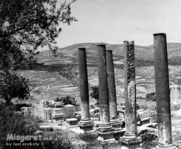 סבסטיה 1943 - עמודים