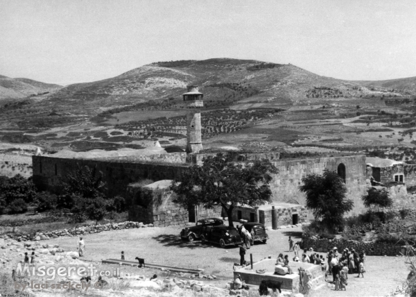 סבסטיה 1943