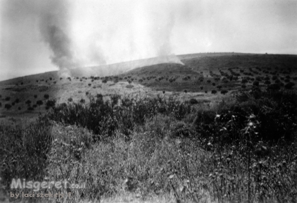 ביתניה 1945 - בשדות