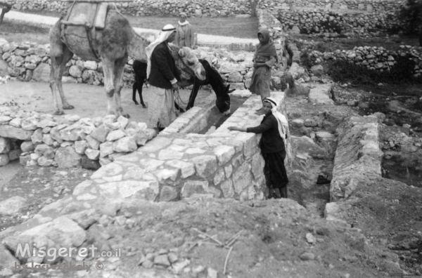 שוקת במעיין 1947 - עלאר