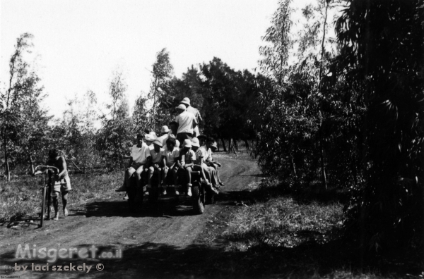 שדה נחום 1947, עגלה ונוער