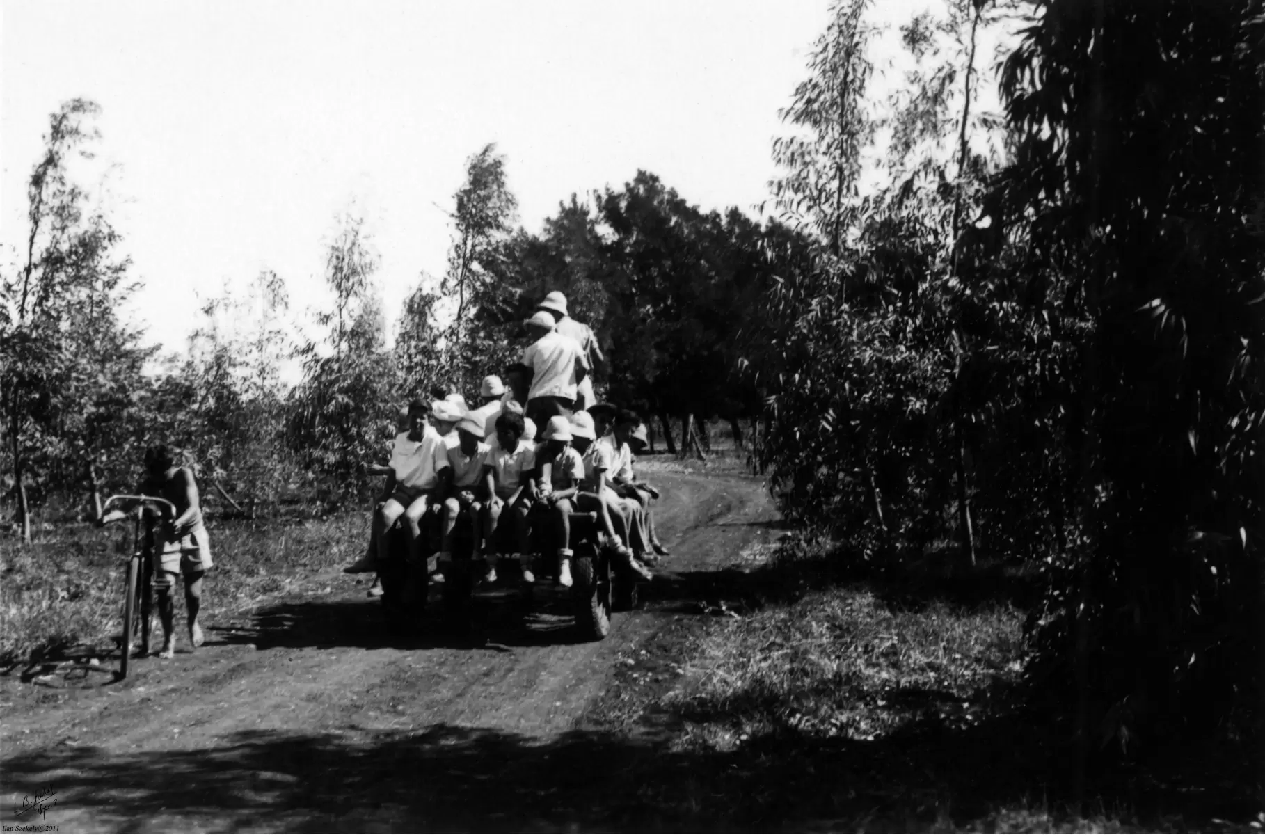 שדה נחום 1947, עגלה ונוער - דוד לסלו סקלי -  - מק''ט: 142633