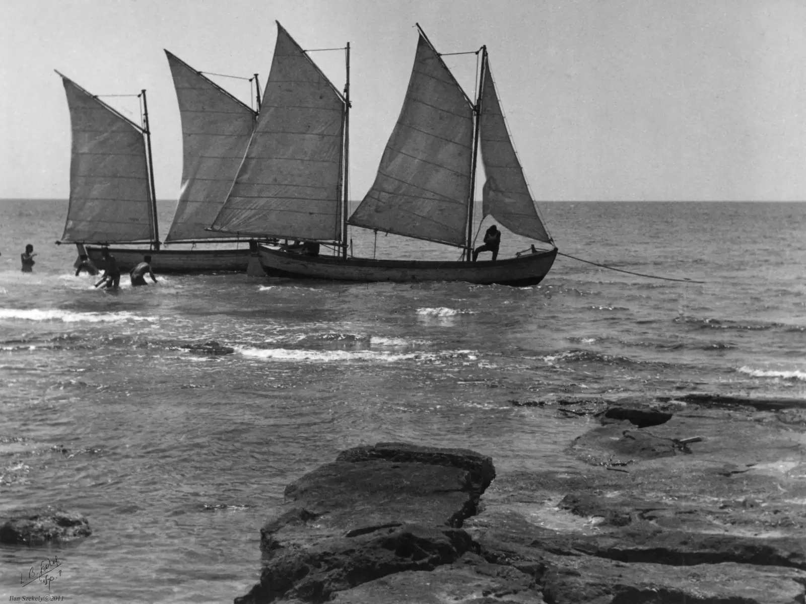 תל אביב 1939 סירות מפרש - דוד לסלו סקלי -  - מק''ט: 143082