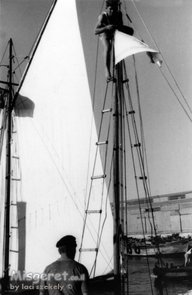 תל אביב 1939 - הנפת הדגל