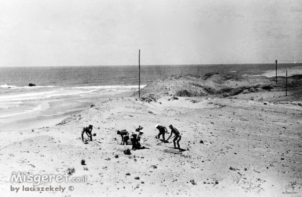 תל אביב 1939 חופרים בחול