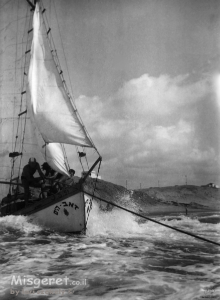 תל אביב 1939 זאב הים