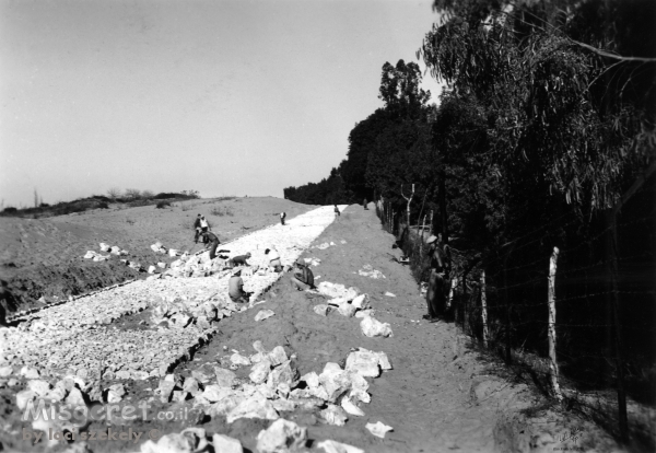 נבי רובין 1940 בונים כביש