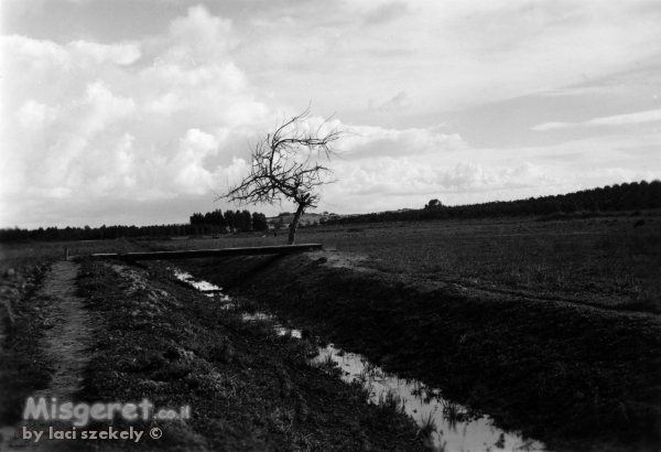 נבי רובין 1940 - חורף