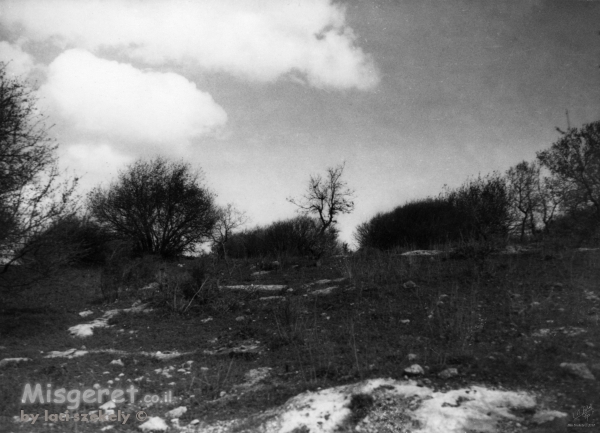 עמק יזרעאל 1940 נוף