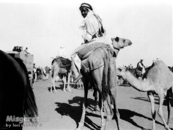 ג'ירג'ה 1940 מרוץ גמלים