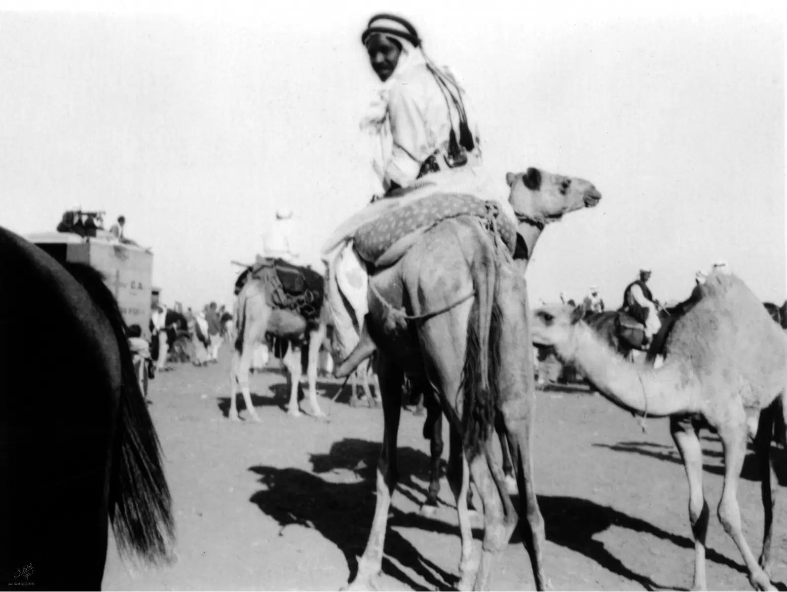 ג'ירג'ה 1940 מרוץ גמלים - דוד לסלו סקלי -  - מק''ט: 143790