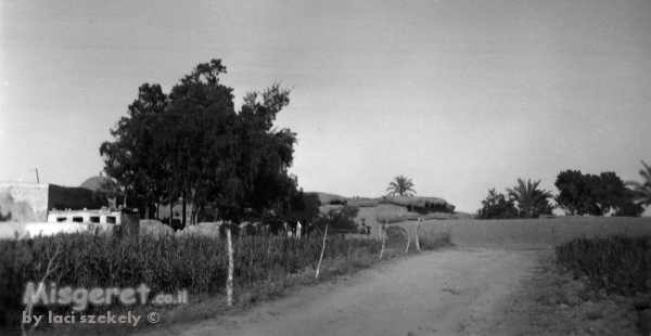 בית ג'ירג'ה 1940 ליד הבאר