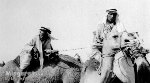 בית ג'ירג'ה 1940 גמלים