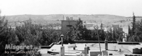 ירושלים 1943 רחביה, נוף