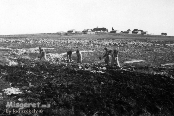 כפר עציון 1946 הכשרת קרקע