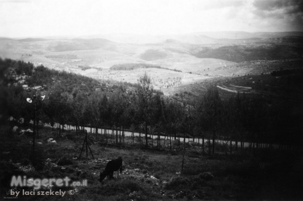 מעלה החמישה 1948 נוף