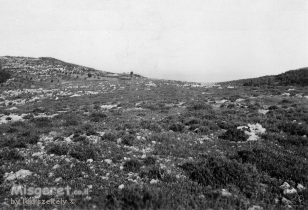 מינחת מעלה החמישה  1948