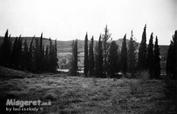 מינחת מעלה החמישה 1948