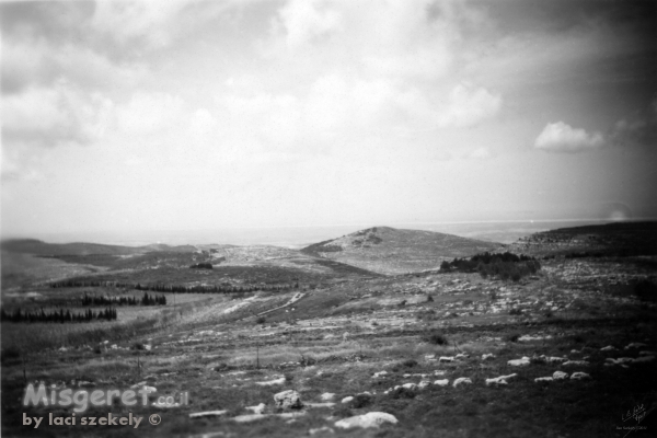 נווה אילן 1948 מבט לים