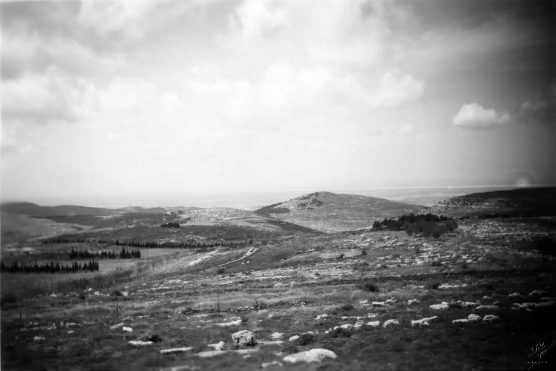 נווה אילן 1948 מבט לים - דוד לסלו סקלי -  - מק''ט: 144505