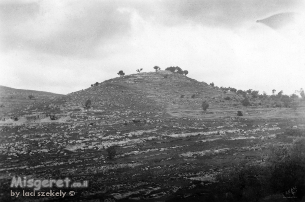 נווה אילן 1948 גבעה