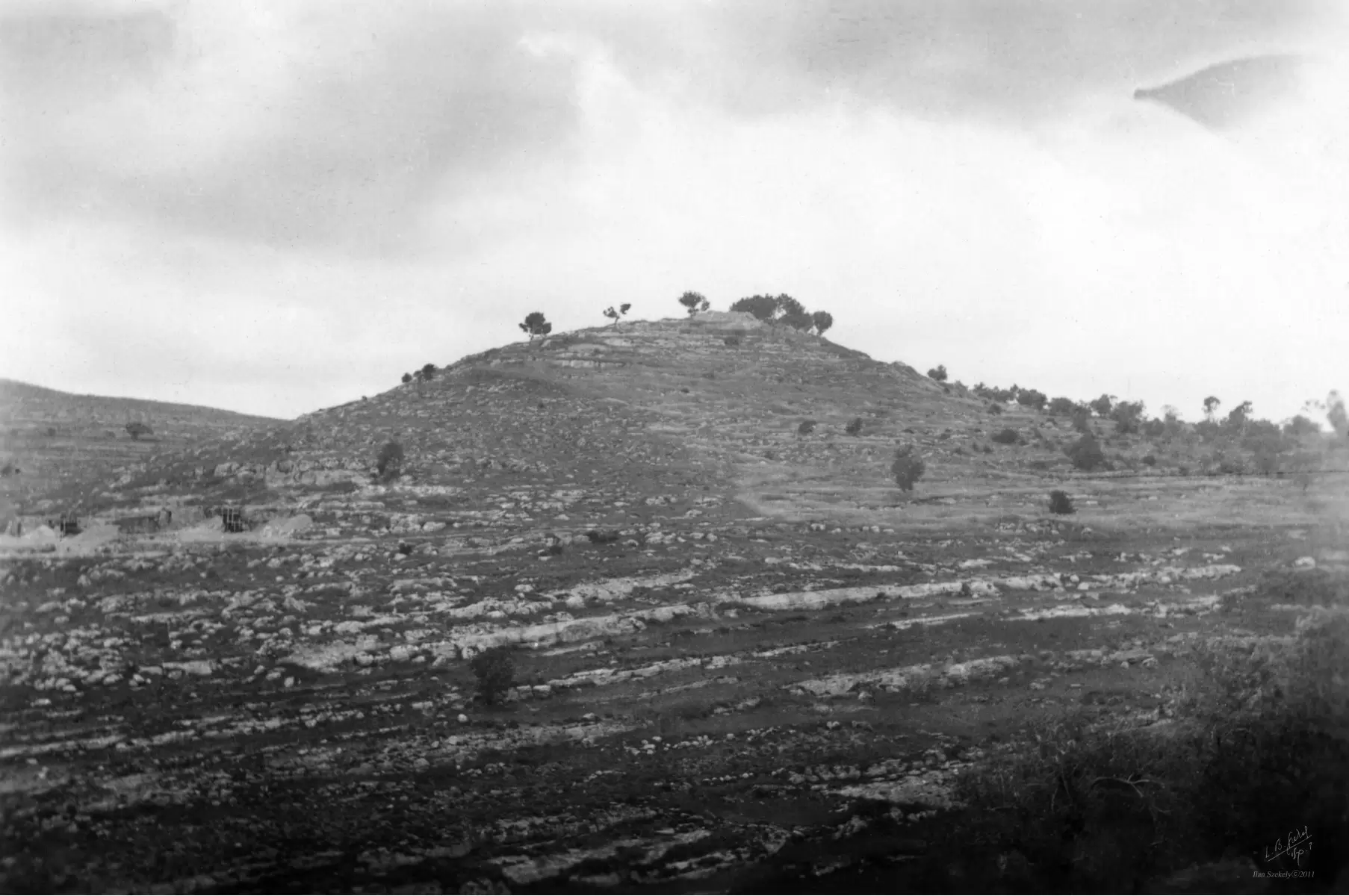 נווה אילן 1948 גבעה - דוד לסלו סקלי -  - מק''ט: 144511