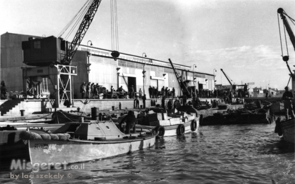 תל אביב 1937 פעילות במעגן