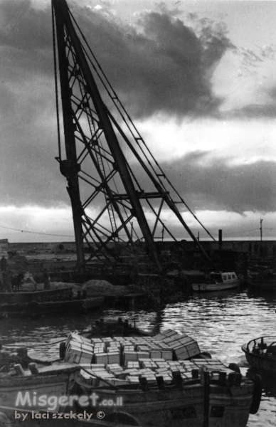 תל אביב 1937 יצוא תפוזים