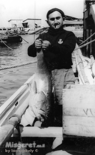 תל אביב 1937 דייג ושללו