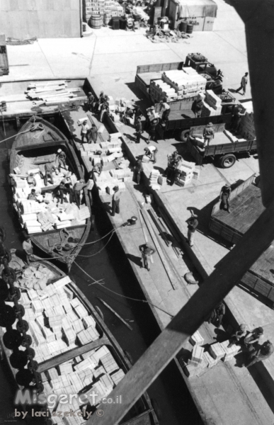 תל אביב 1937 הטענת תפוזים