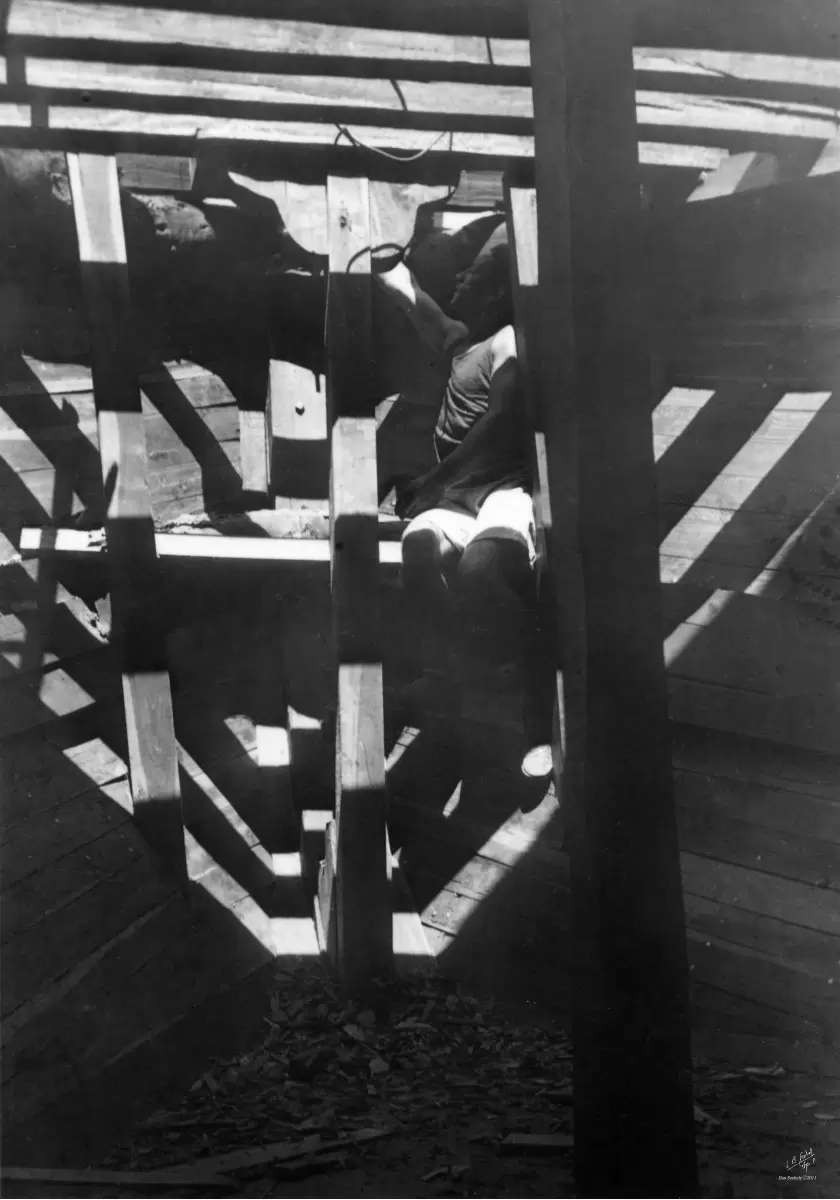 תל אביב 1937 בתוך הסירה - דוד לסלו סקלי -  - מק''ט: 146028