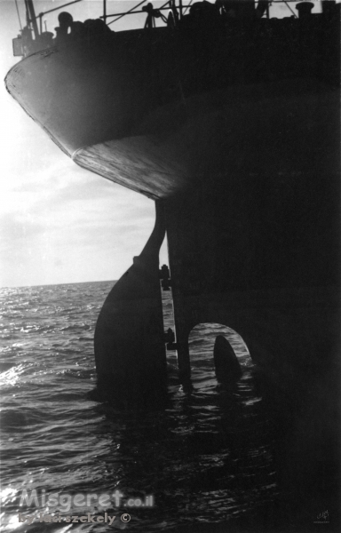 תל אביב 1937 הגה של אוניה