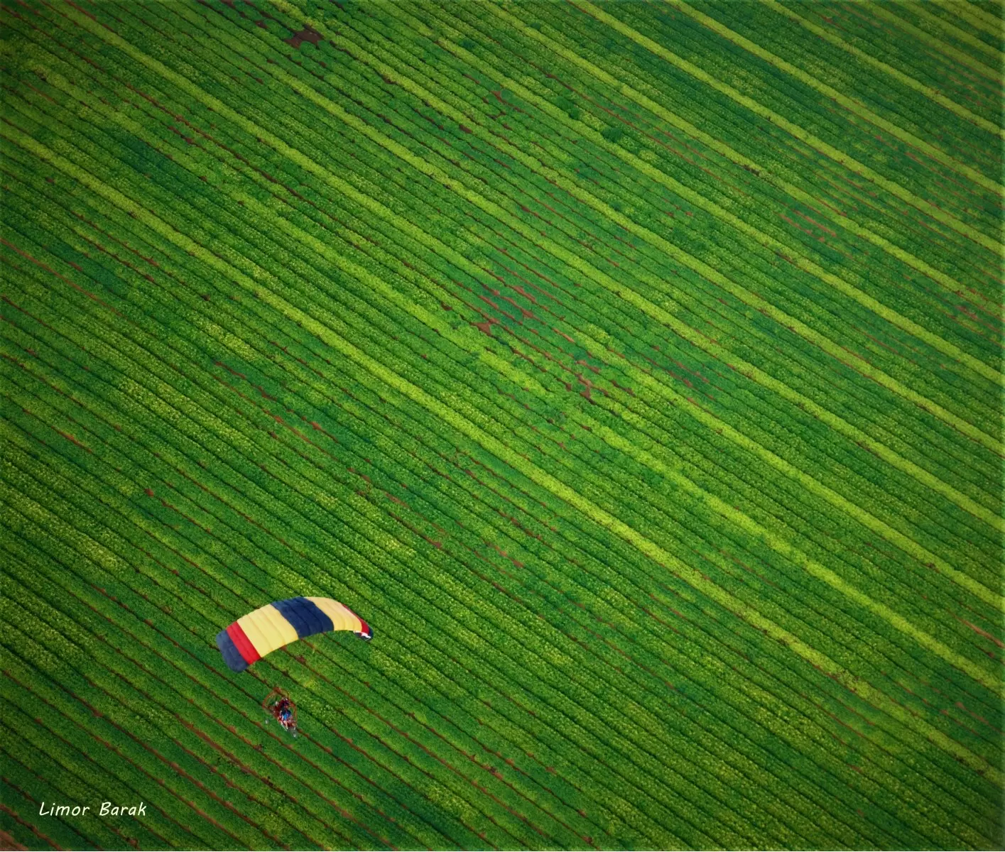 ירוק - לימור ברק - צילום אווירי תמונות בחלקים  - מק''ט: 336993