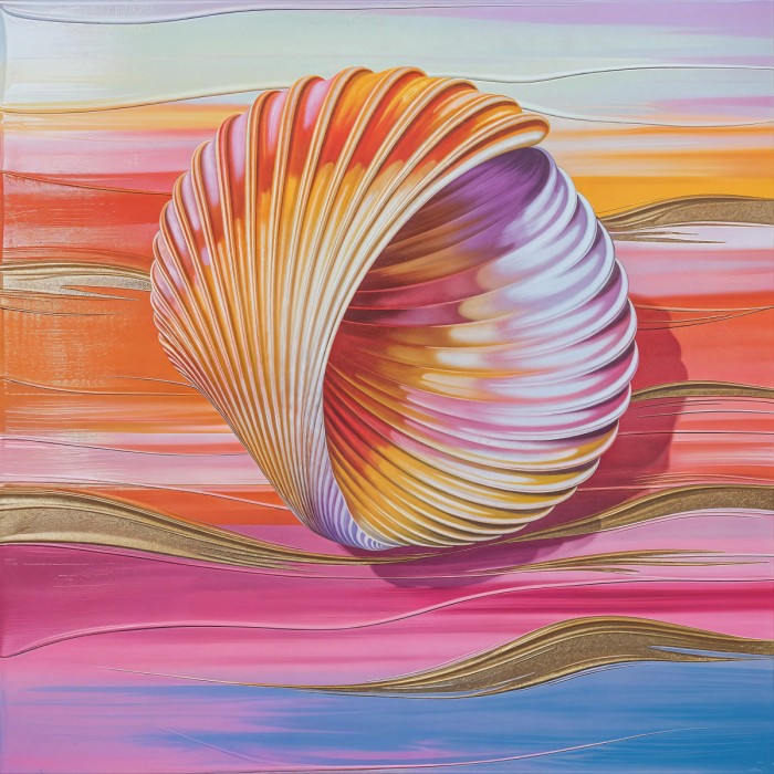 קונכייה ססגונית