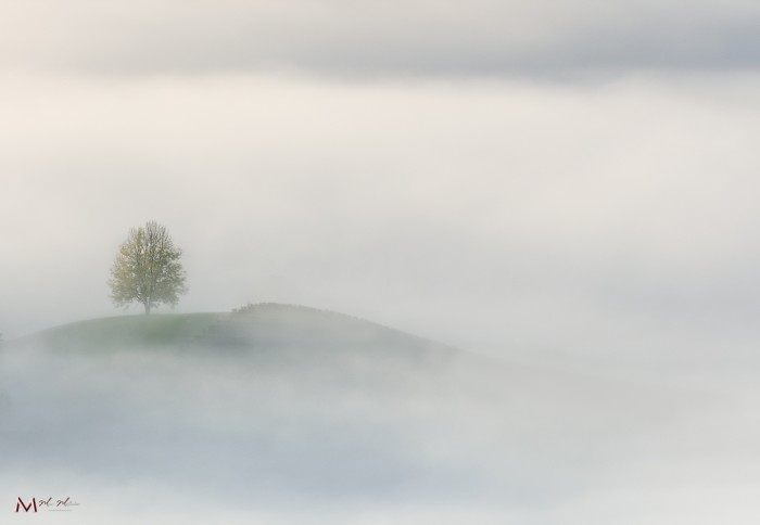 בוקר ערפילי