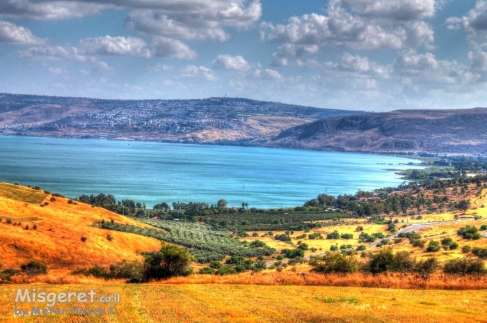 הדמיית תמונה על קיר