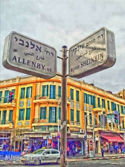 שנקין-אלנבי