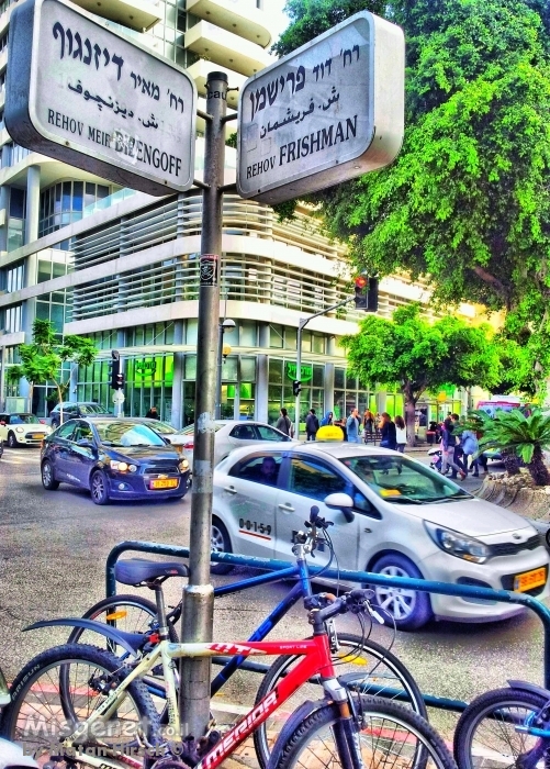 דיזינגוף-פרישמן