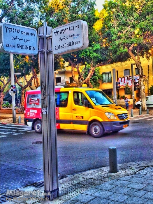 רוטשילד שנקין