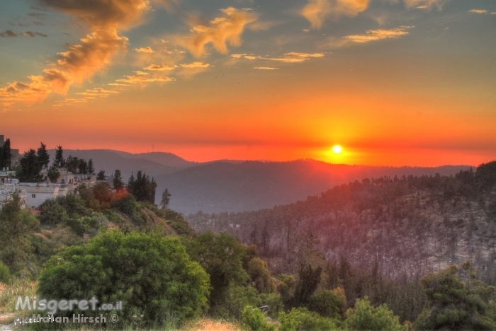 שקיעה ביער ירושלים