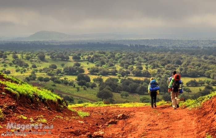 מטיילים בגולן