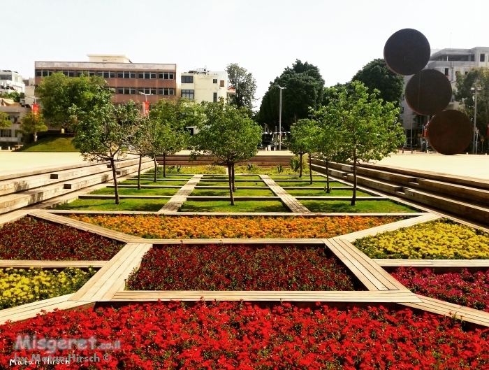 פרחים בכיכר הבימה