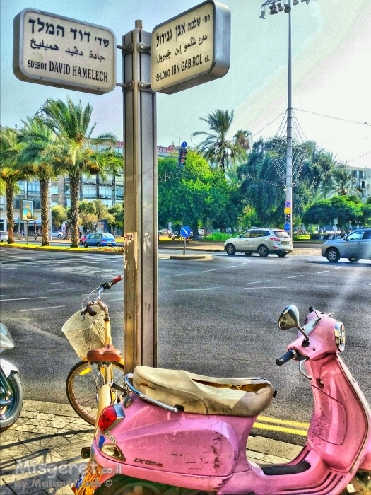 אבן גבירול - דוד המלך