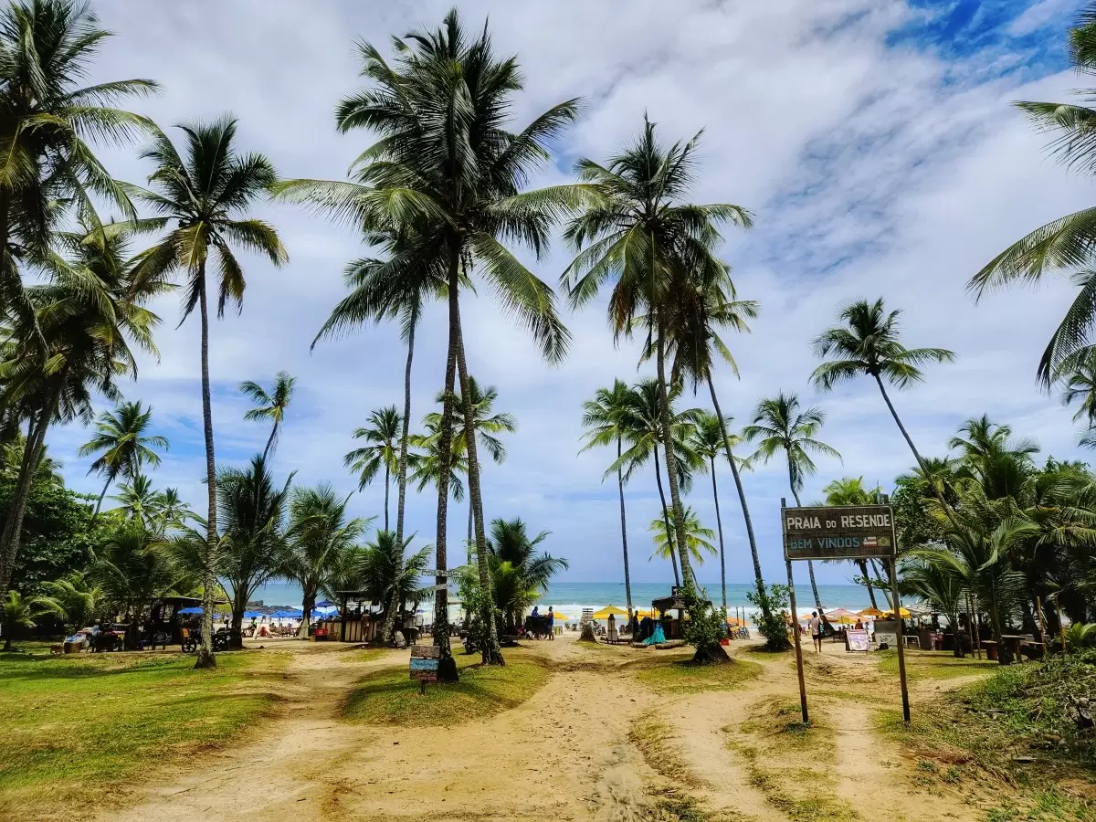 חוף בברזיל - מתן הירש - צילומים  - מק''ט: 462318