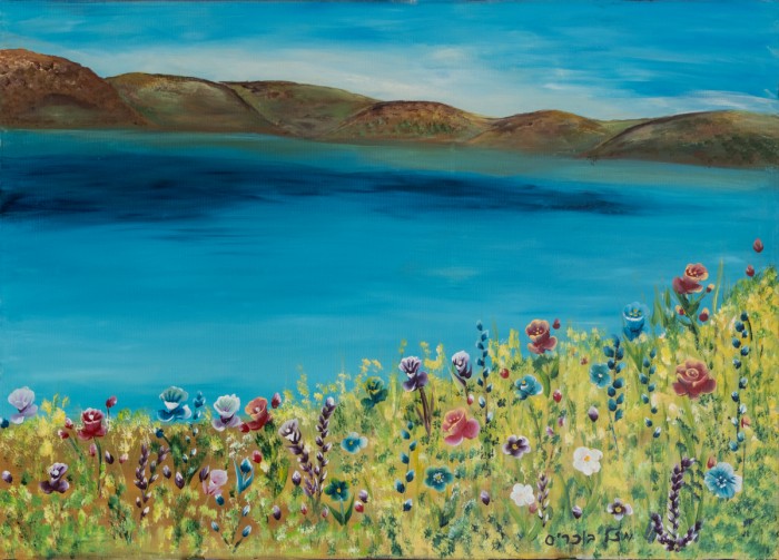 הפריחה בכנרת